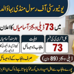 University of Rasul Mandi Bahauddin Walk-in Jobs 2026