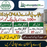 Punjab Public Private Partnership Authority (P4A) Jobs 2026