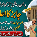 Women Welfare Organization WWO Sujawal Jobs 2026