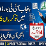 Punjab Information Technology Board PITB Lahore Jobs 2026