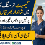PAQSJ Institute of Medical Sciences Gambat Jobs 2026