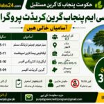 CM Punjab Green Credit Program Jobs 2026 in Lahore – Apply Online