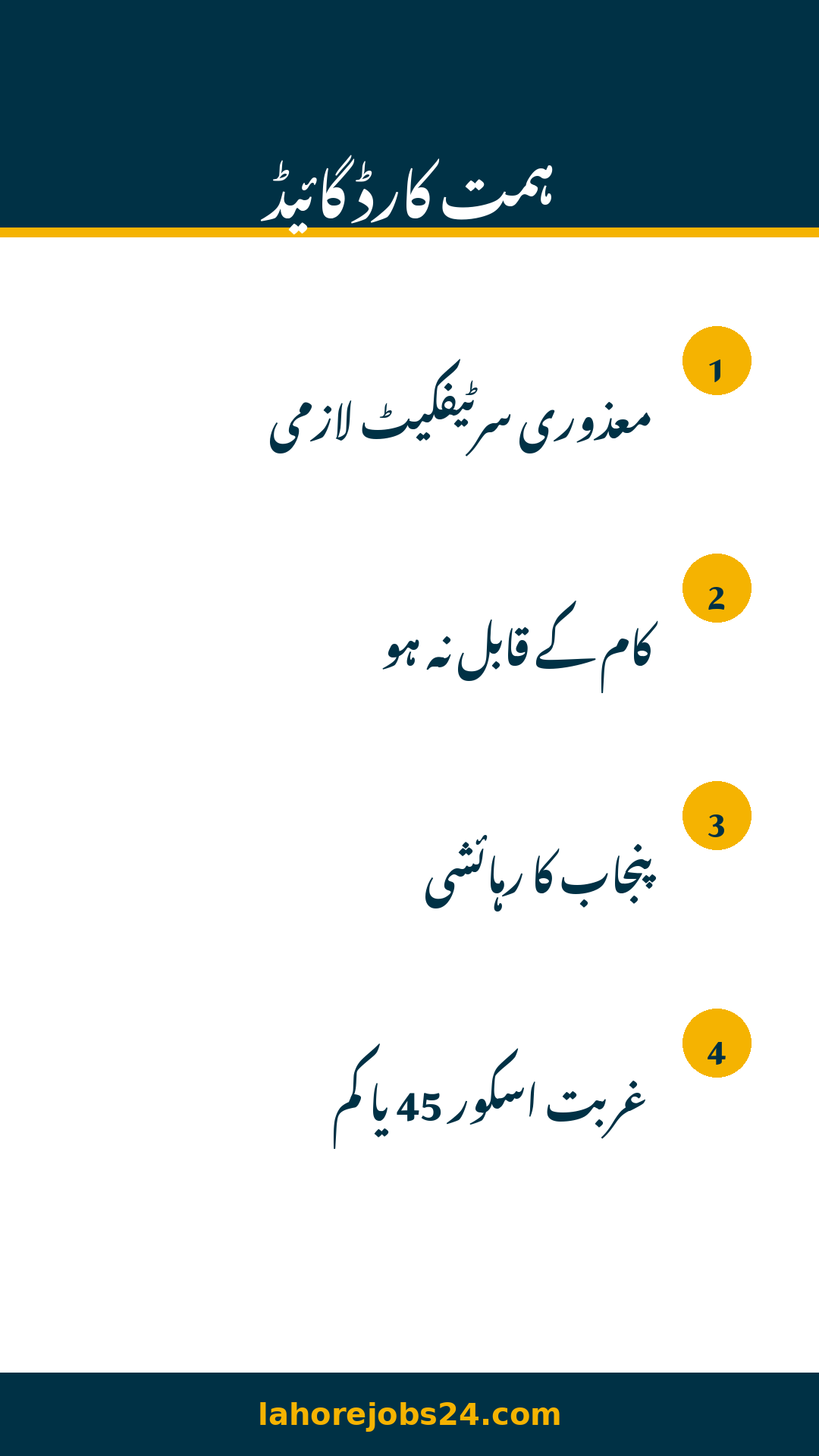 Punjab Himmat Card guide infographic 1