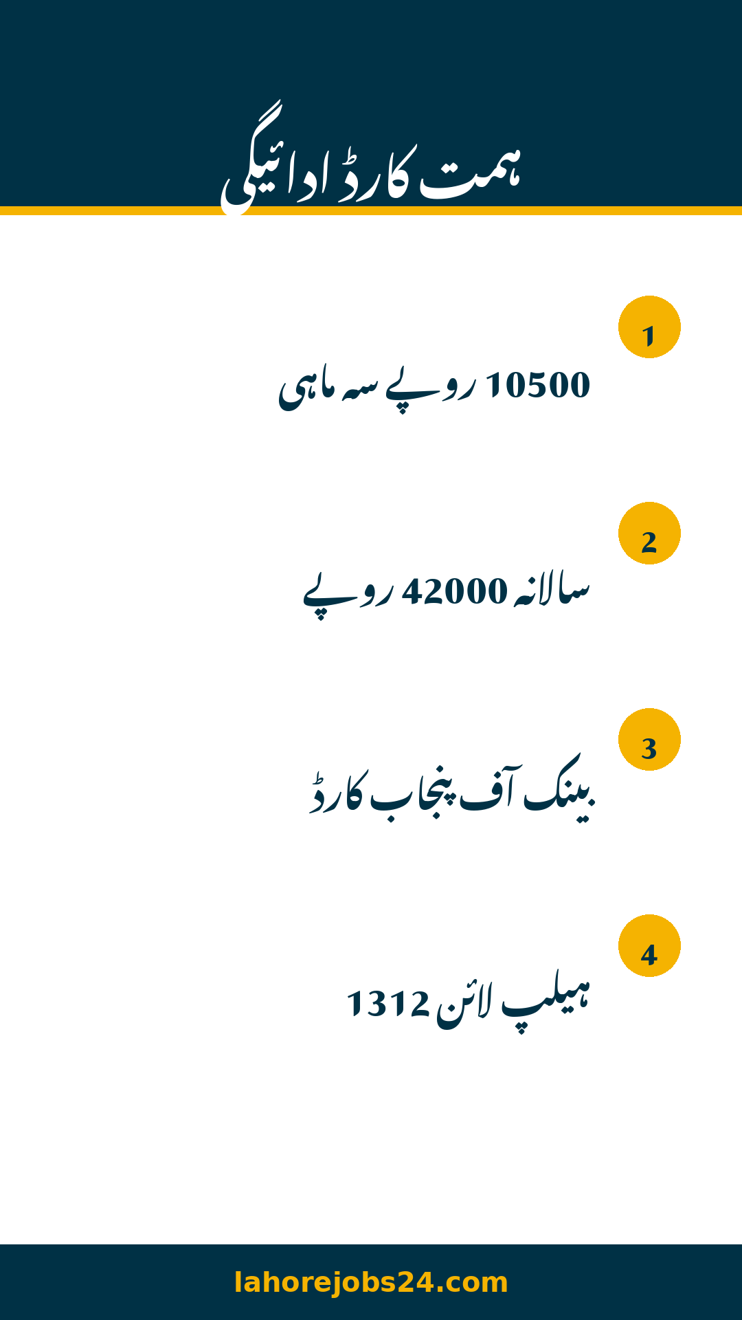 Punjab Himmat Card guide infographic 2